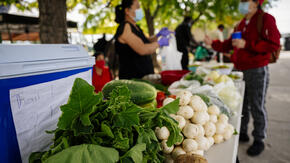 Two people communicate over a table full of produce.