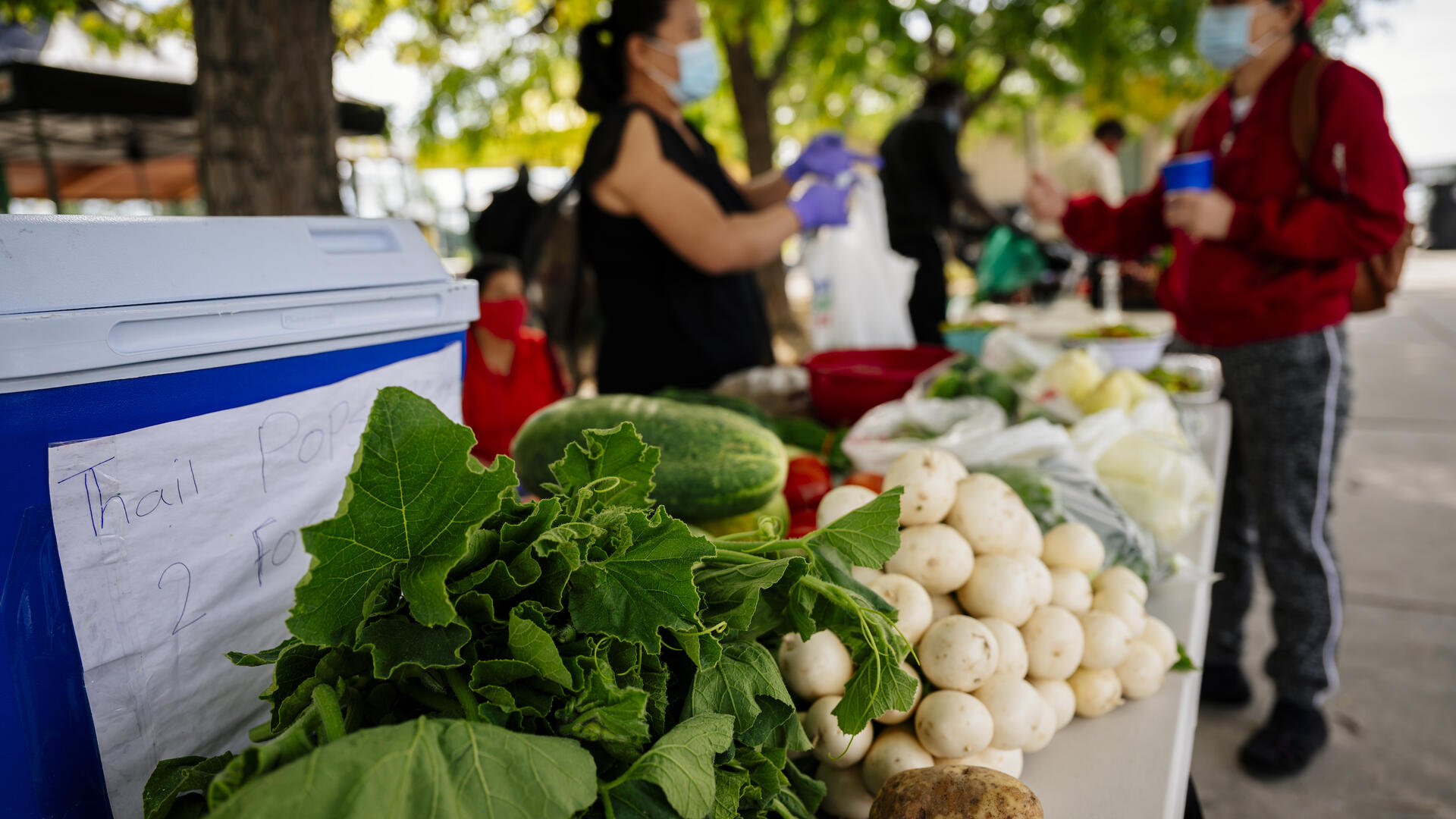 Refugee farmers sell produce through the IRC's New Roots program, Two people communicate over a table full of produce.