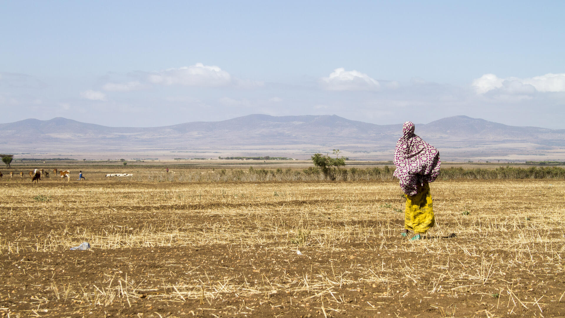A woman stands in a parched field in Ethiopia with mountains in the distance.